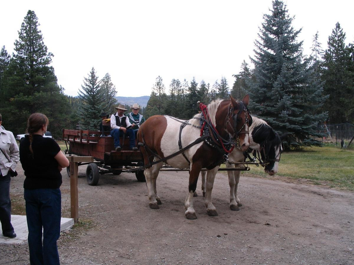 Lonesome Dove Ranch Bed & Breakfast Kalispell Room photo